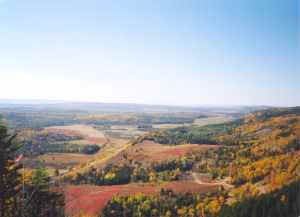 hidden autumn.jpg (6649 bytes)